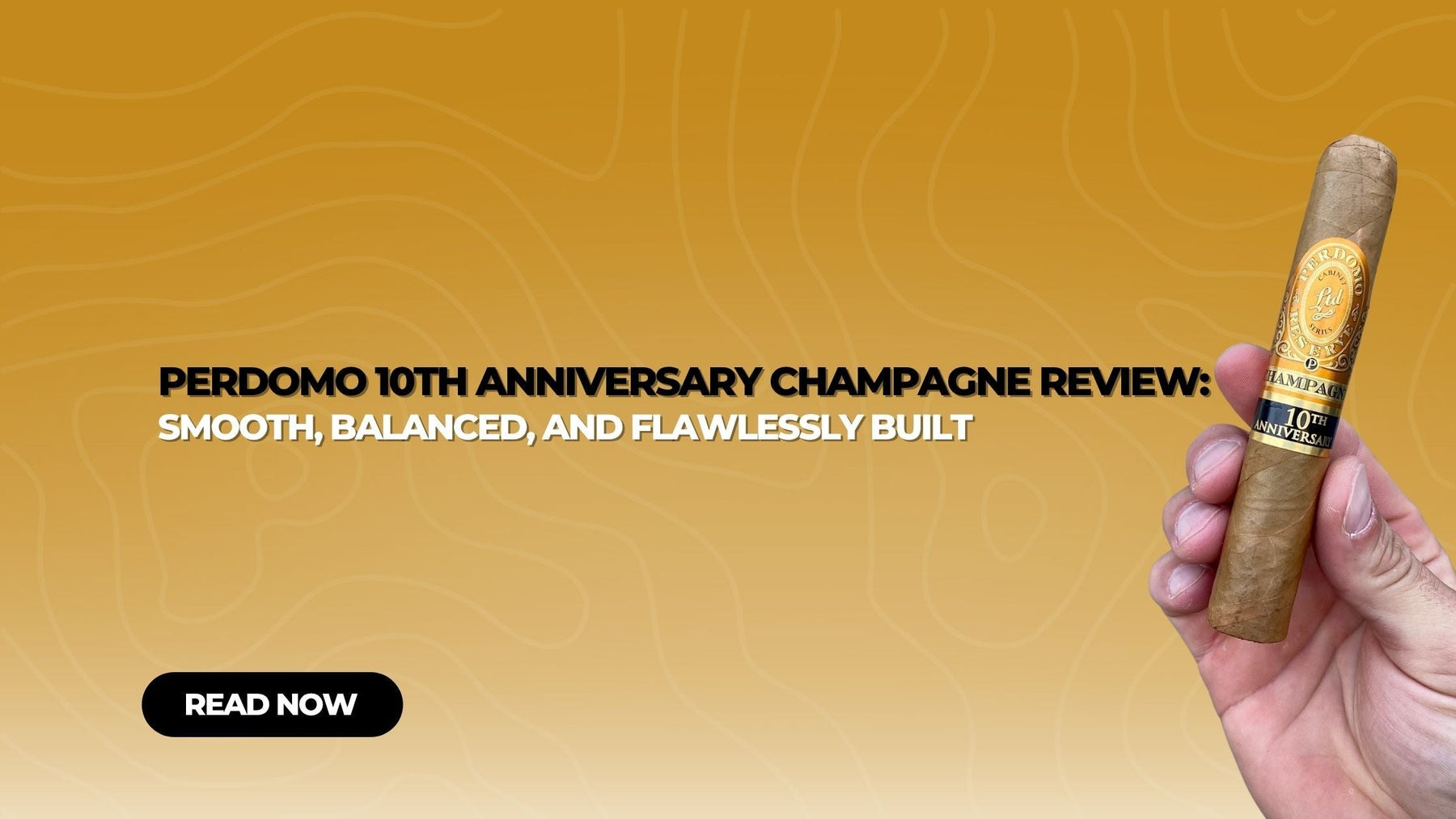 Perdomo 10th Anniversary Champagne Review
