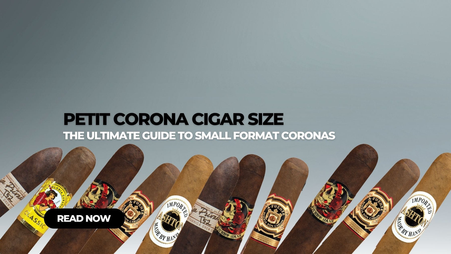 Petit Corona Cigar Size