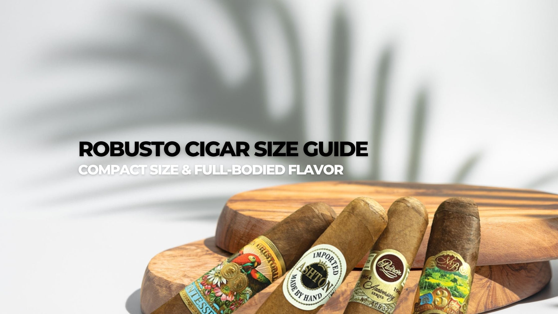 Robusto Cigar Size Guide
