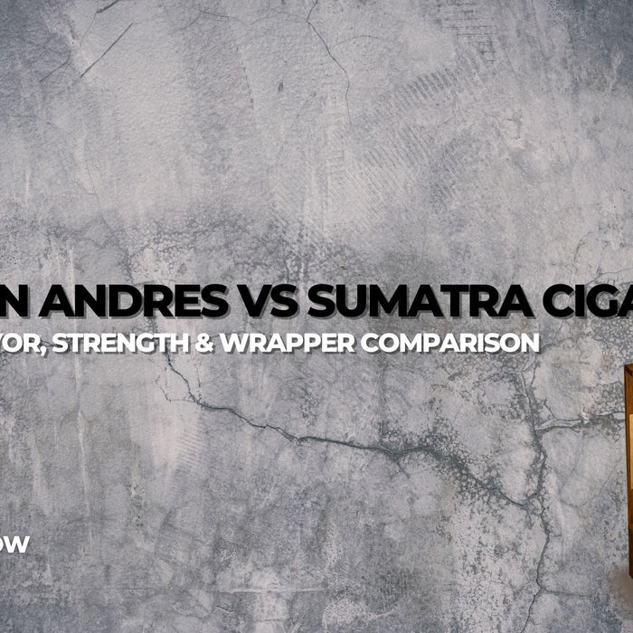 San Andres vs Sumatra Cigars