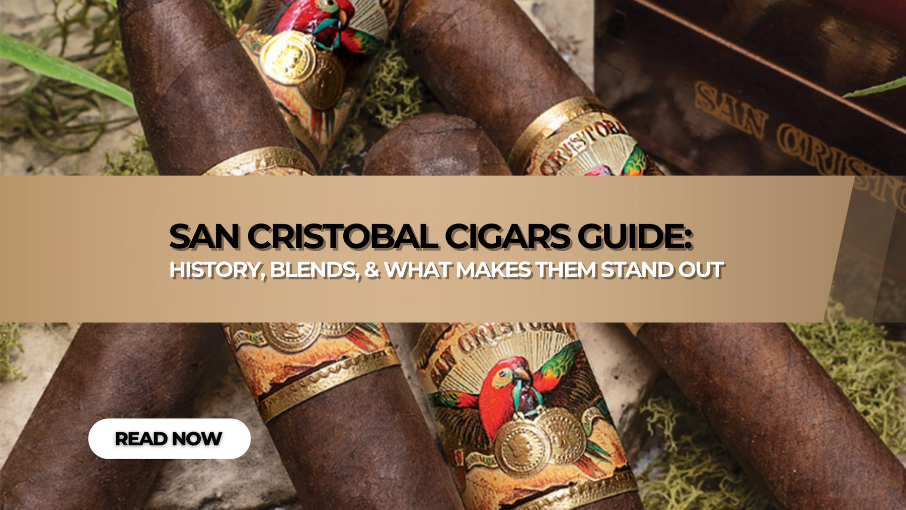 San Cristobal Cigars Brand Guide
