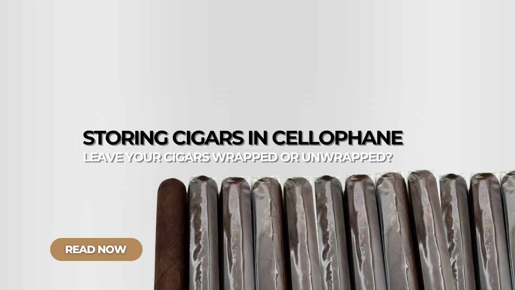 Storing Cigars in Cellophane_ Yes or No