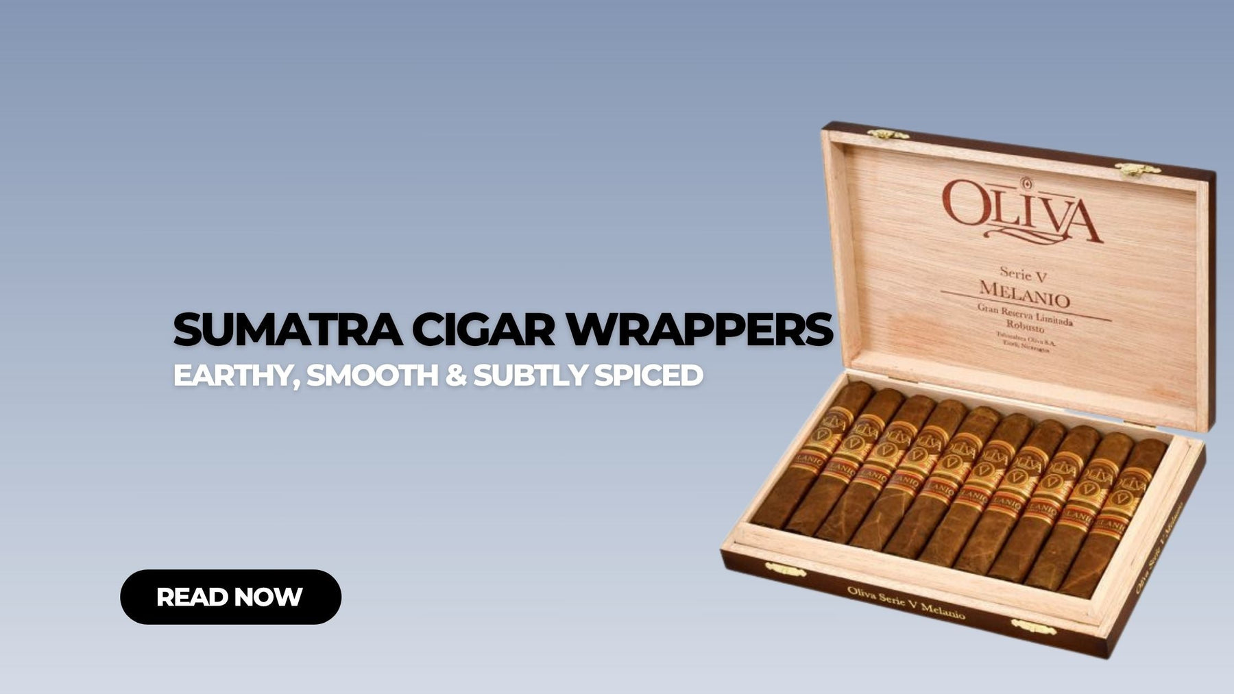 Sumatra Cigar Wrapper Guide