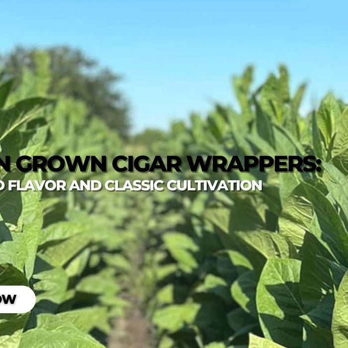 Sun Grown Cigar Wrappers