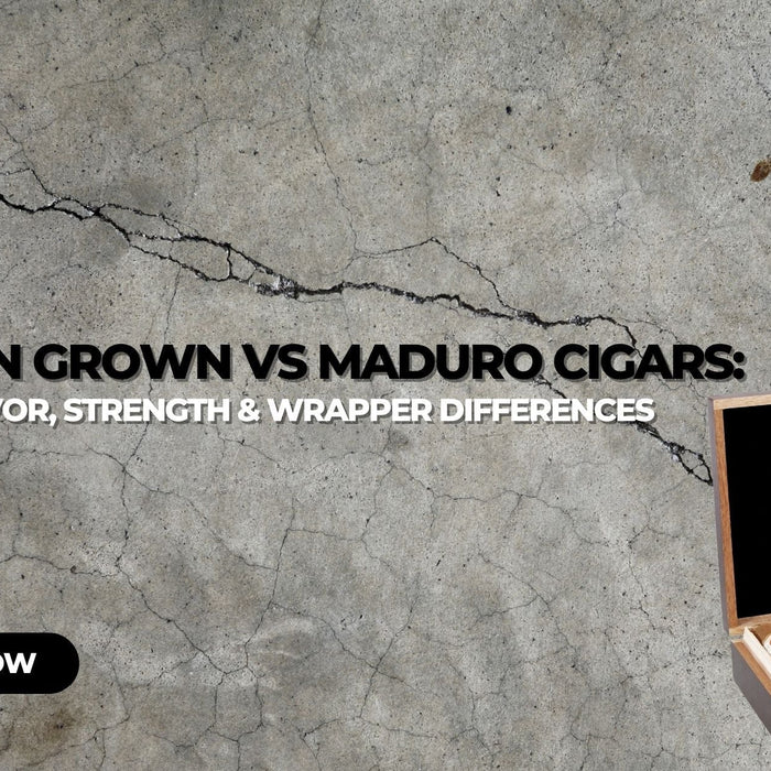 Sun Grown vs Maduro Cigars