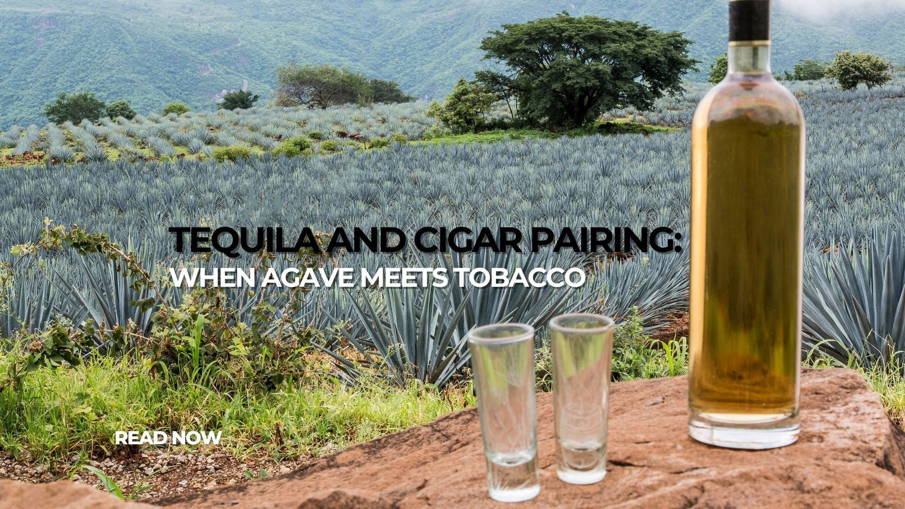 Tequila and Cigar Pairing