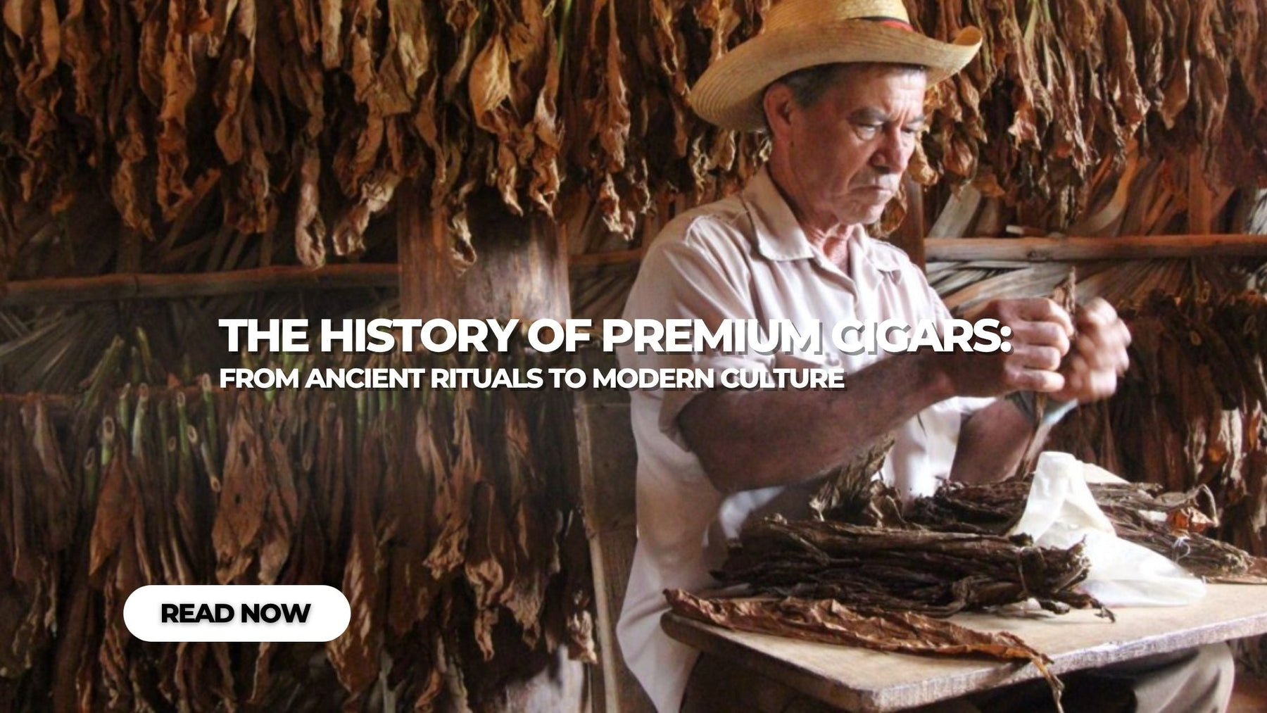 The History of Cigars