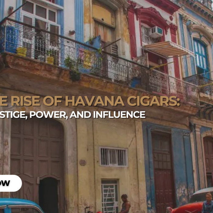 The Rise of Havana Cigars