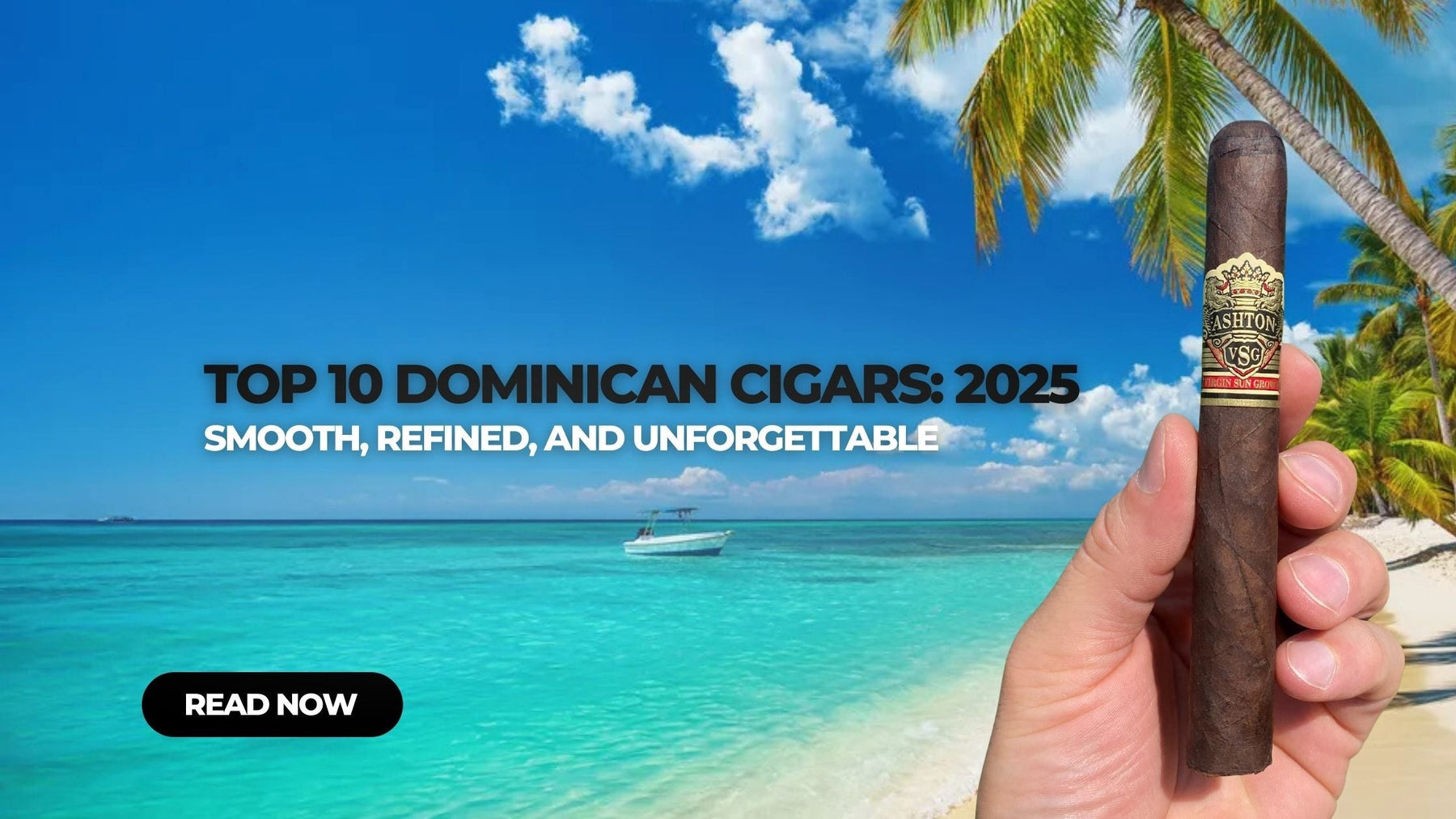 Top 10 Dominican Cigars of 2025
