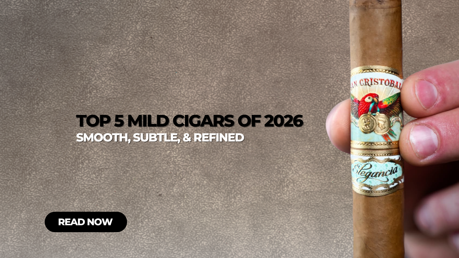 Top 5 Mild Cigars of 2026