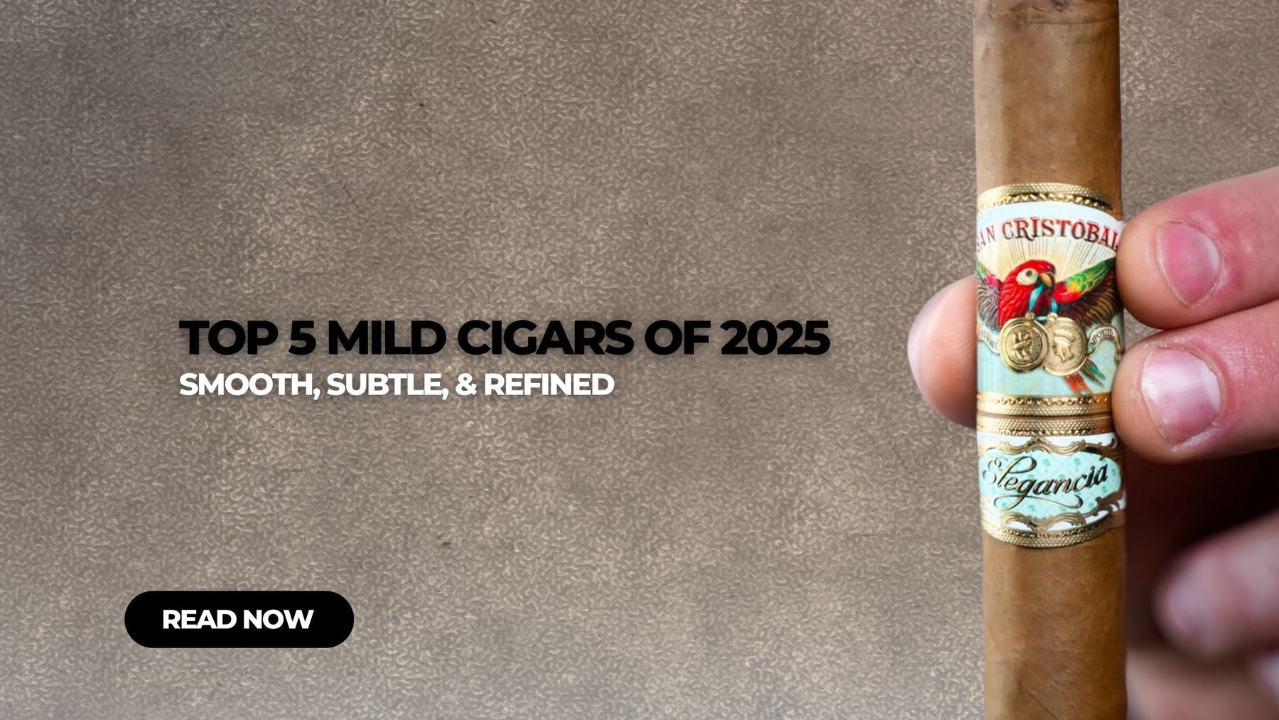 Top 5 Mild Cigars of 2025