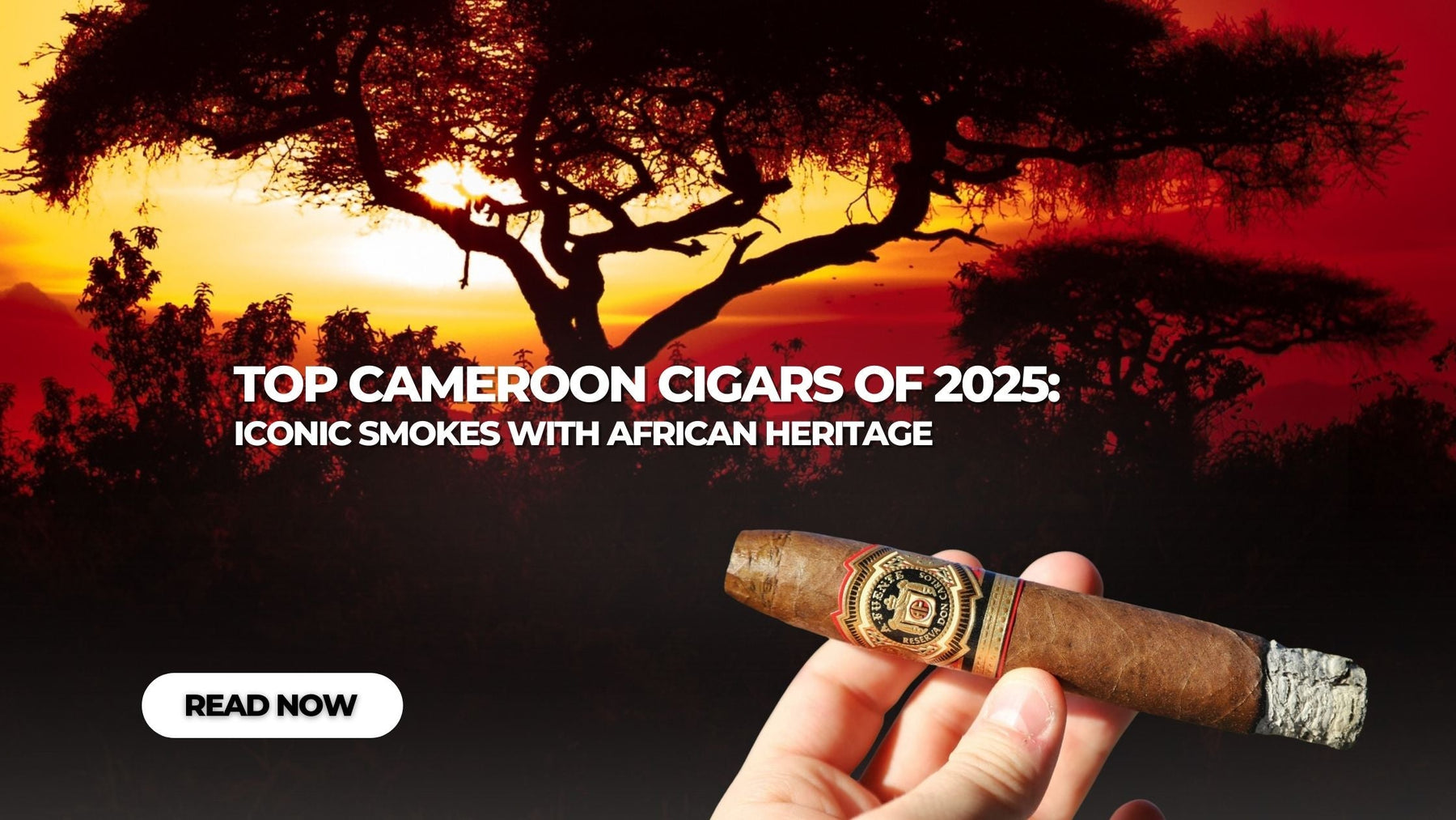 Top Cameroon Cigars of 2025