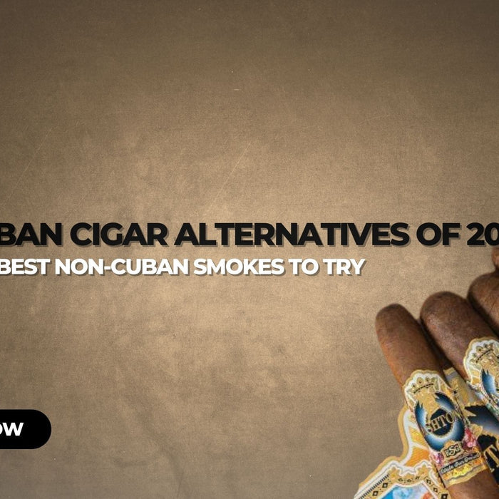 Top Cuban Cigar Alternatives of 2025