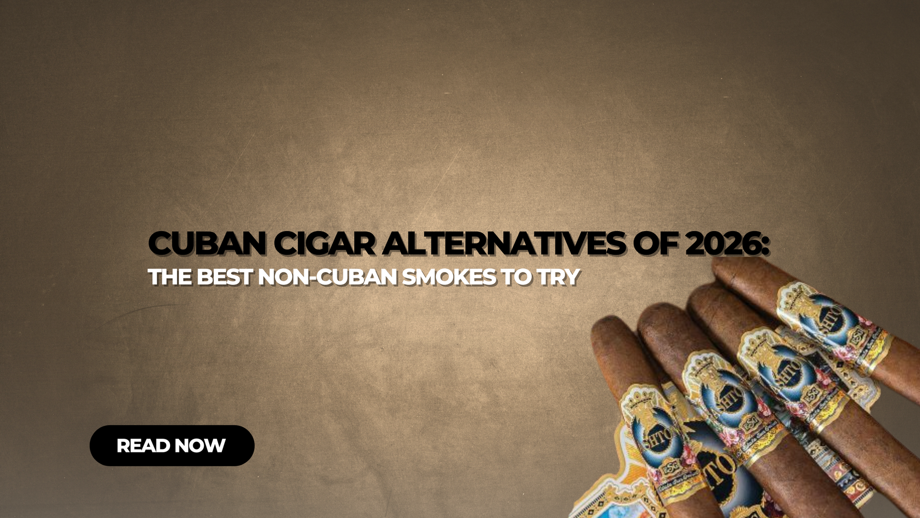 Top Cuban Cigar Alternatives of 2025