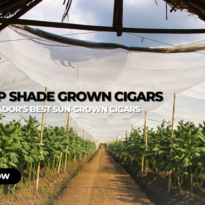 Top Shade Grown Cigars of 2026