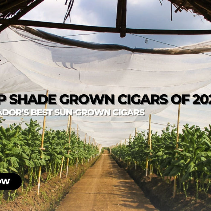 Top Shade Grown Cigars of 2025