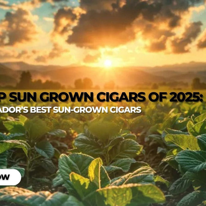 Top Sun Grown Cigars of 2025