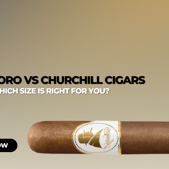 Toro vs Churchill Cigars