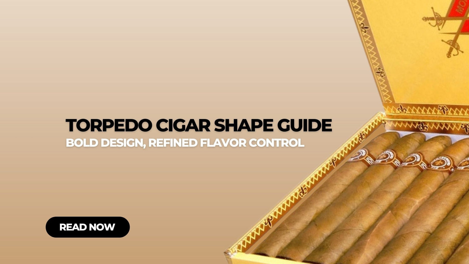 Torpedo Cigar Shape Guide