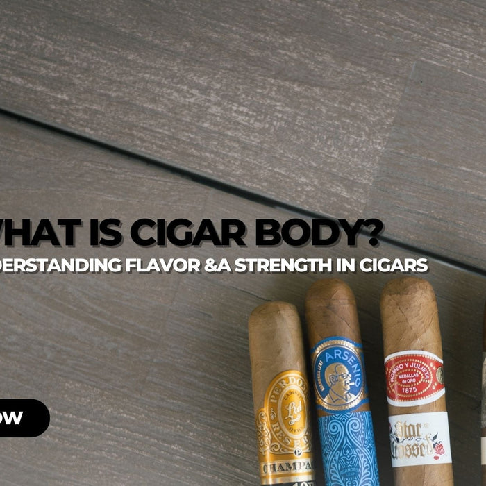 What Is Cigar Body
