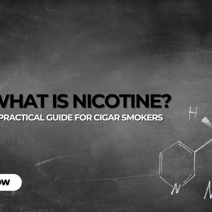 What Is Nicotine