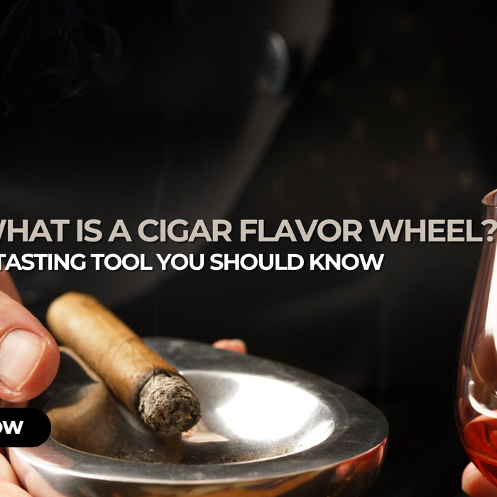 What Is The Cigar Flavor Wheel
