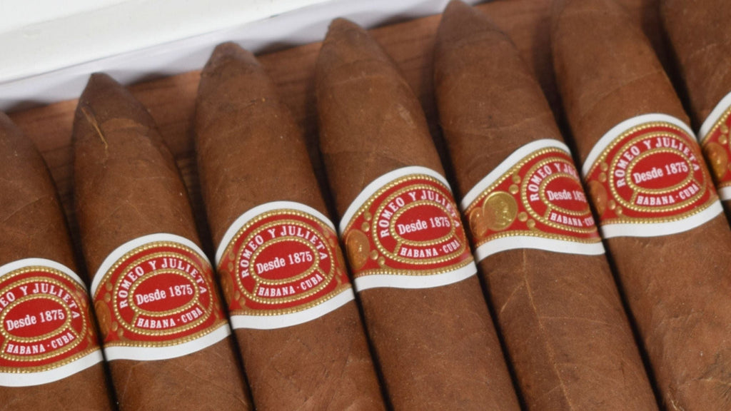 Belicoso Cigars: The Short Taper, Explained, With the Ones We Stock