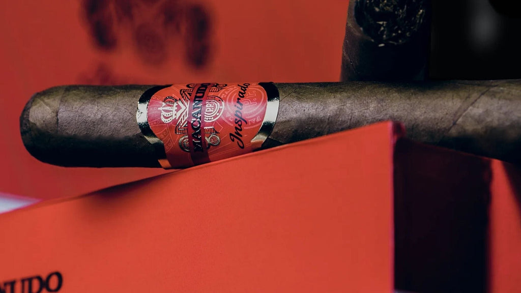 Lancero Cigars: Why the Thin Format Wins Over Serious Smokers