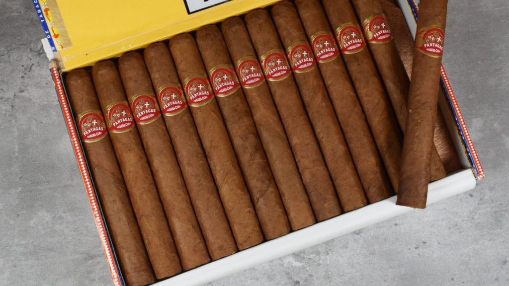 Petit Corona Cigar Size: The Best Short Smoke, and the Ones We Stock