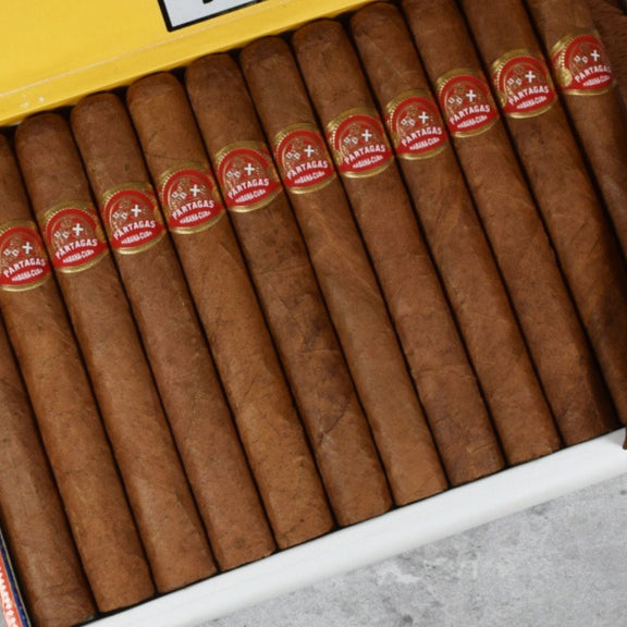 Petit Corona Cigar Size: The Best Short Smoke, and the Ones We Stock