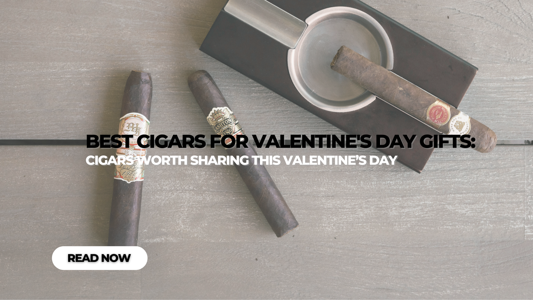 Best Cigars for Valentines Day Gifts