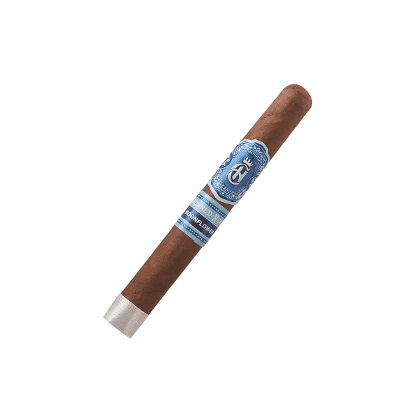 A single Crowned Heads Moonflower Corona Gorda cigar, featuring a brown Nicaraguan Corojo wrapper and adorned with a blue and silver label, is placed on a white background.