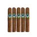 Five brown Crowned Heads Thunderkiss Robusto cigars, each with distinctive “THUNDERKISS” bands adorned by a bold, yellow and black circular logo, are arranged upright in a row on a white backdrop. The rich Ecuadorian Habano Maduro wrappers evoke the premium quality and refined appearance characteristic of the Crowned Heads Thunderkiss line.