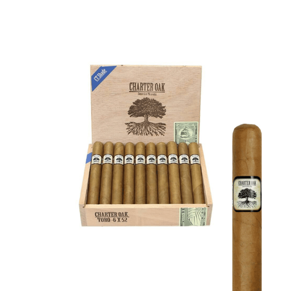 Foundation Charter Oak Connecticut Toro