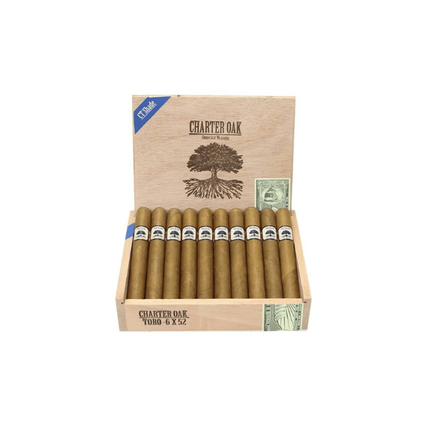 Foundation Charter Oak Connecticut Toro