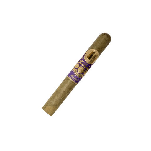 A single Founders Hamilton Candela Toro cigar from Founders Cigar Co., featuring a greenish Ecuadorian Candela wrapper and a purple and gold band, isolated on a white background.