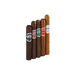 The Macanudo Inspirado 5 Cigar Sampler features five Toro cigars, each with a distinct colored band, standing upright in a row from the renowned Macanudo brand.