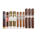 Ten premium cigars of different sizes and wrappers from the Plasencia Cigars Grand Sampler are arranged upright in a row against a white background, highlighting the exquisite variety featured in this sampler.