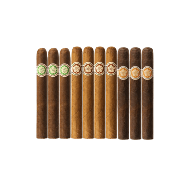 Ten handmade cigars from the Room101 Ichiban Everyday Sampler are lined up side by side, showcasing three different wrapper shades and distinct colored bands on a white background—an eye-catching selection perfect for cigar enthusiasts.