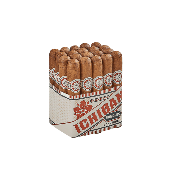 Room101 Ichiban Connecticut Robusto