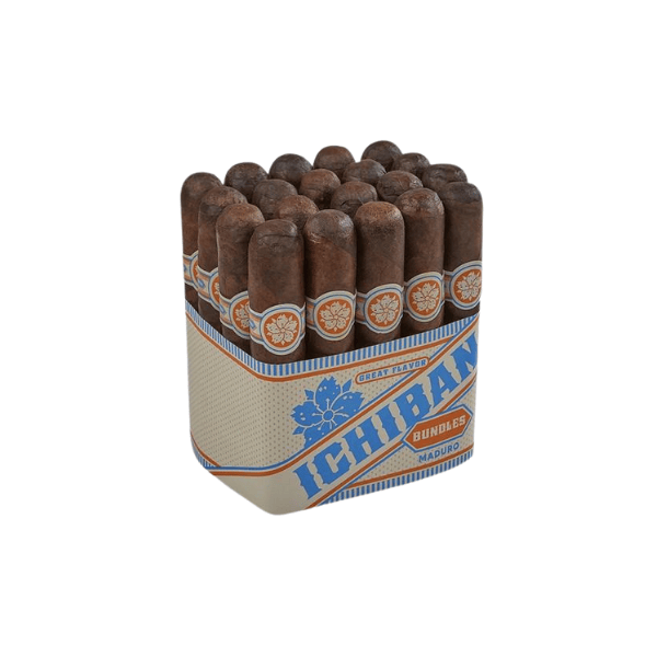 Room101 Ichiban Maduro Robusto