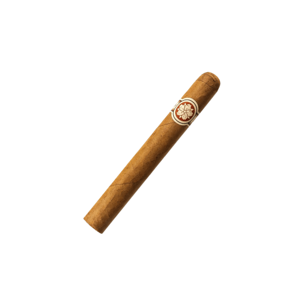 Room101 Ichiban Connecticut Robusto