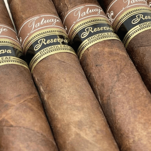 Close-up of several brown Tatuaje Reserva Broadleaf Unicos cigars, each wrapped in a rich Connecticut Broadleaf wrapper and adorned with decorative gold and black bands near the top.