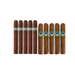 Eight cigars with a plain band are displayed next to eight cigars featuring a blue eye logo band, all aligned vertically on a white background—ideal for aficionados of The Dark Rotation 10 Cigar Sampler or those seeking standout singles from this exclusive collection.